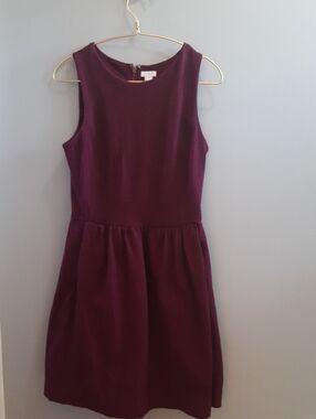 J. Crew Sleeveless Mini Dress in Wine